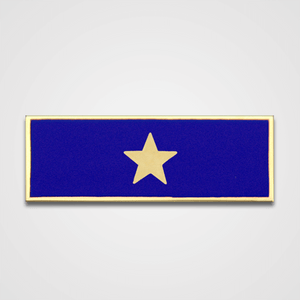 1-Star Blue Merit Pin-Bar